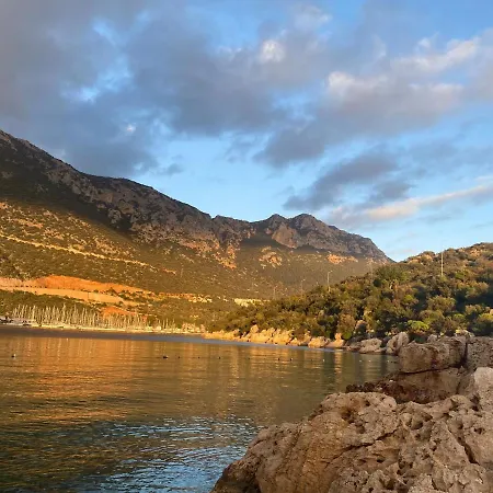 Centre - The Rush -3 아파트 카스